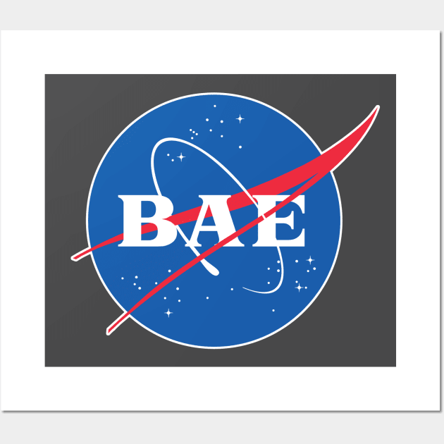 BAE - Nasa Parody Logo Design Wall Art by DankFutura